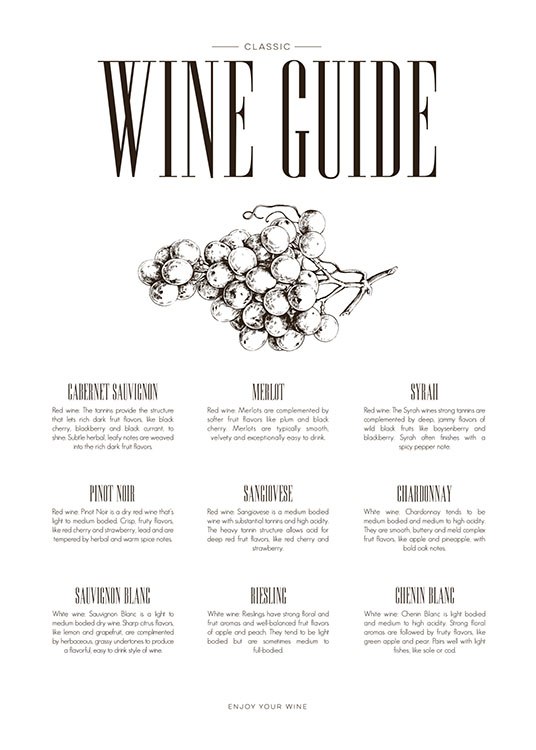 Wine Guide, Juliste / Keittiötaulut Osoitteessa Desenio ab (8228)
