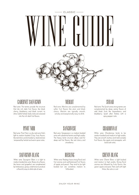 Wine Guide, Juliste