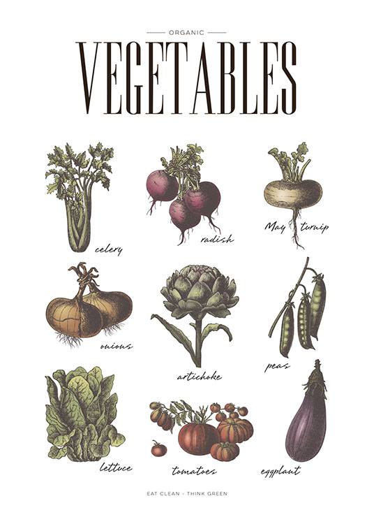 Vegetables, Juliste