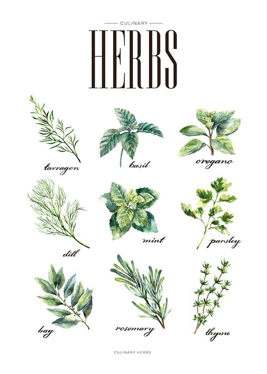 Herbs Green, Juliste