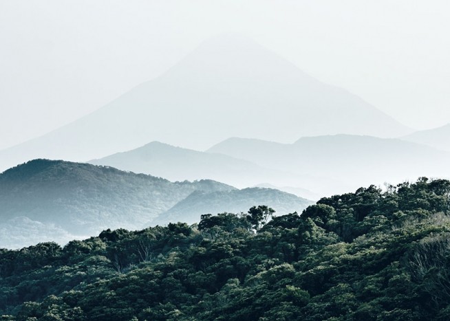 Forest Hills, Juliste