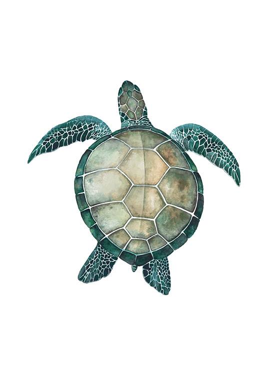 Sea Turtle, Juliste