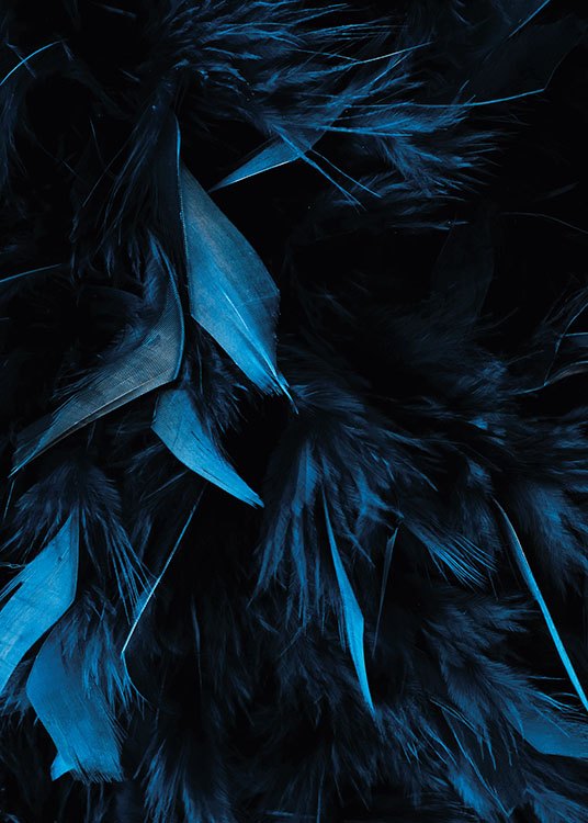 Blue Feathers, Juliste / Valokuvat Osoitteessa Desenio ab (8483)