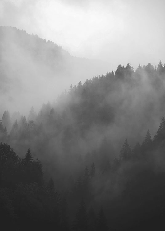 Black Forest, Juliste / Valokuvat Osoitteessa Desenio ab (8540)