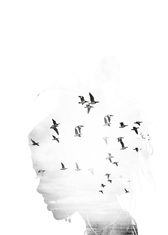 – Mustavalkoinen taidejuliste, jossa naisen kasvojen ääriviivoissa näkyy meri ja lintuja