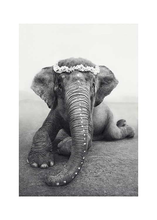 Love Warriors Sweetest Adele Juliste