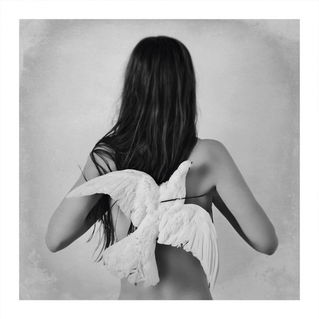 Love Warriors Sky Juliste