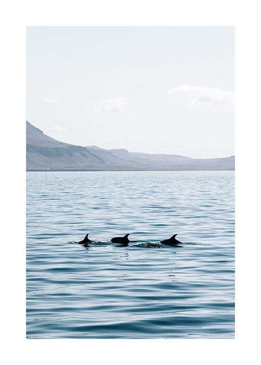 - Valokuva kolmesta delfiinistä aavalla merellä vuoria taustallaan