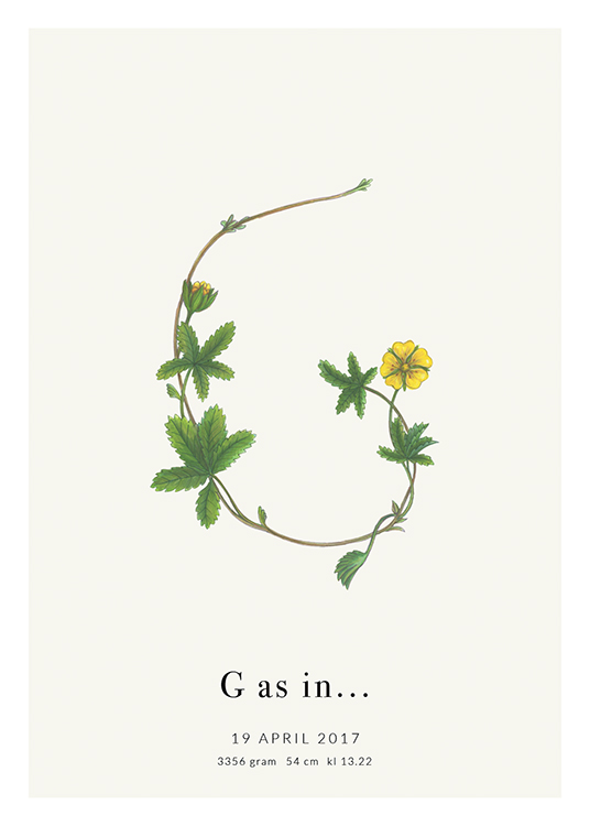  – Kukan ja lehtien muodostama G-kirjain